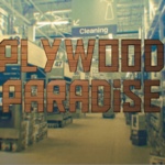 Plywood Paradise